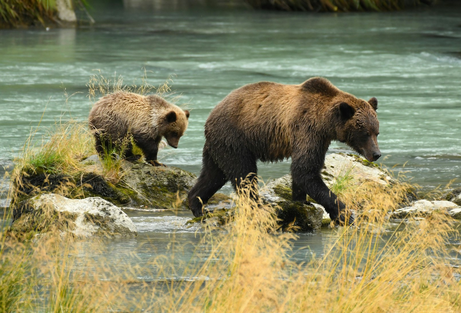 How to Navigate Market Corrections and High Volatility